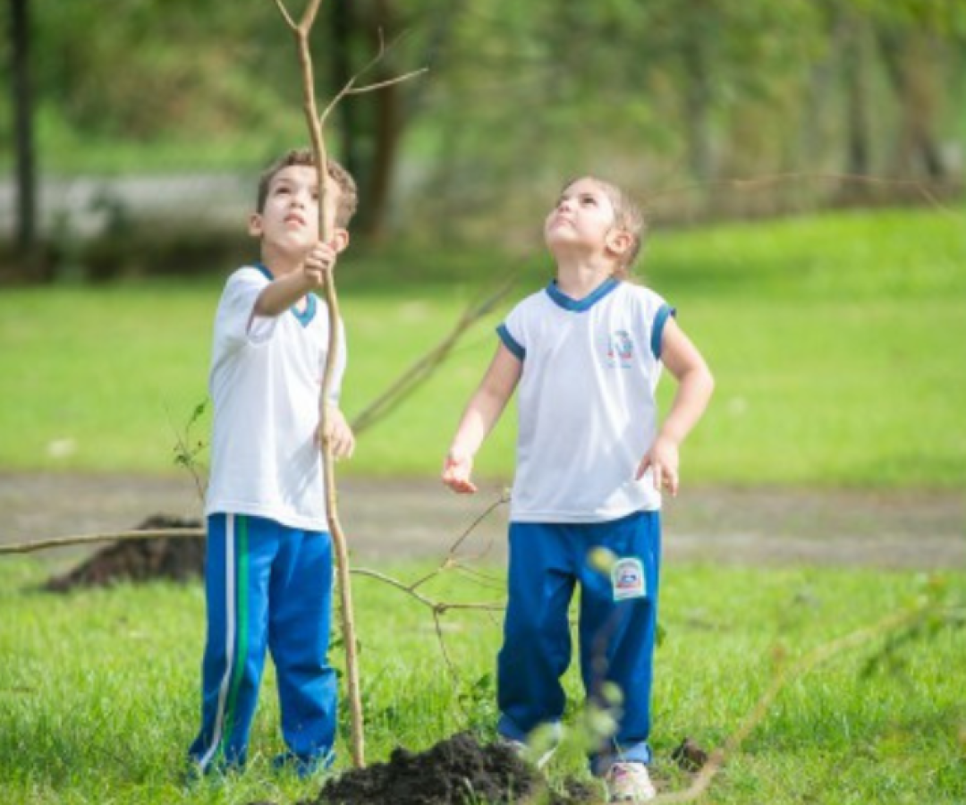 Praia Grande realiza neste domingo (21), a partir das 9h, um plantio de mudas em comemoração ao Dia da Árvore.