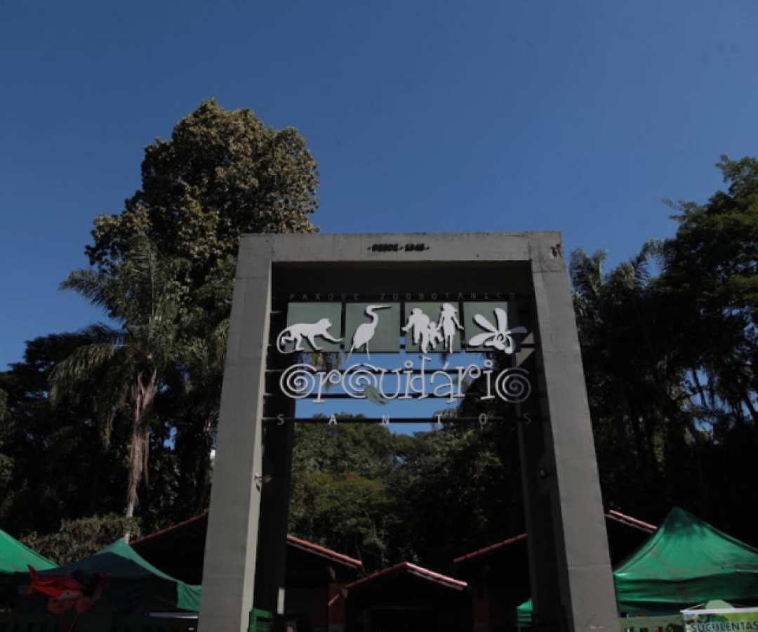 Pesquisadores detectaram bactérias super-resistentes em um urubu e uma coruja do orquidário de Santos, no litoral de São Paulo.