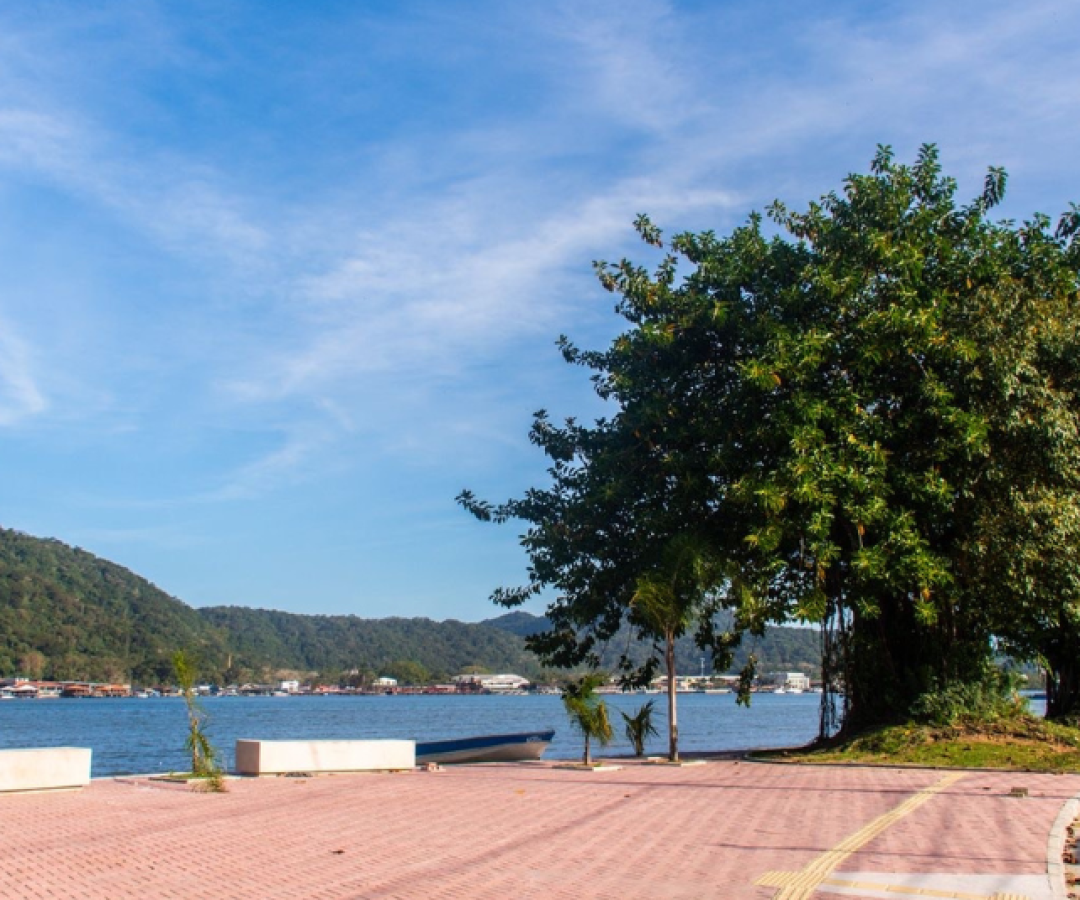 Neste sábado (21), Dia da Árvore, São Vicente realizou ações voltadas à arborização e ao cuidado com as áreas verdes.