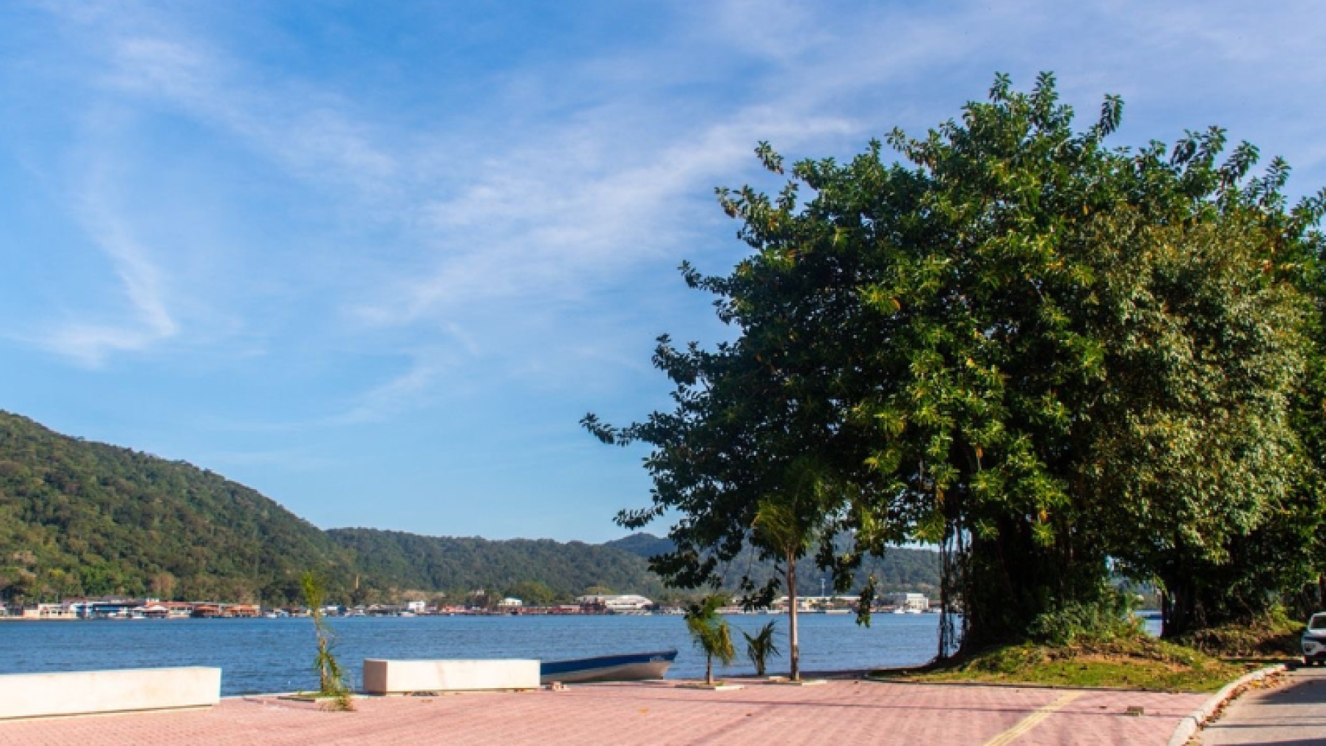 Neste sábado (21), Dia da Árvore, São Vicente realizou ações voltadas à arborização e ao cuidado com as áreas verdes.