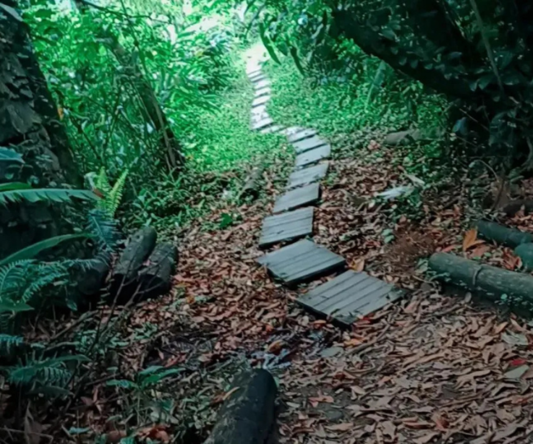 Um casal foi vítima de roubo, sequestro e cárcere privado após ser abordado por três criminosos armados na subida de uma trilha...