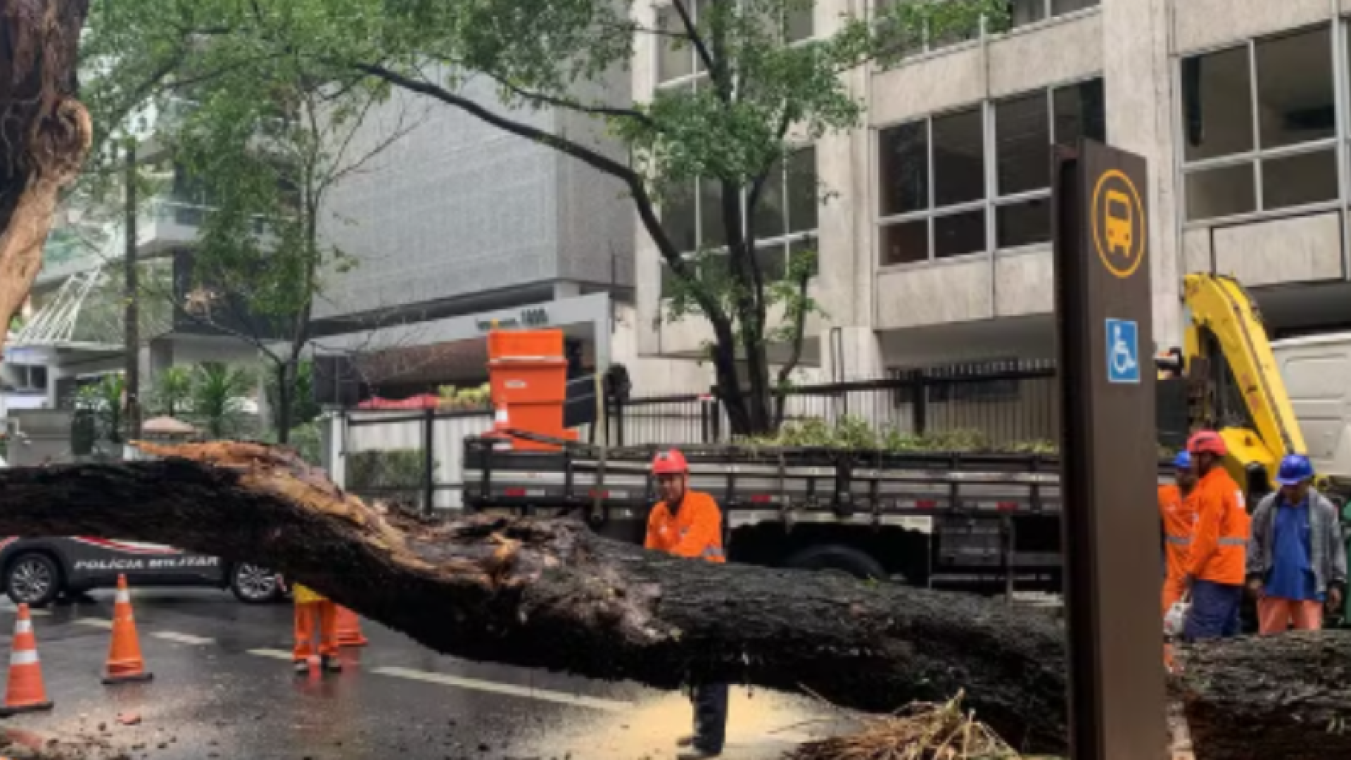 Temporal “severo” em SP causa quedas de árvores, destelhamentos e blecautes