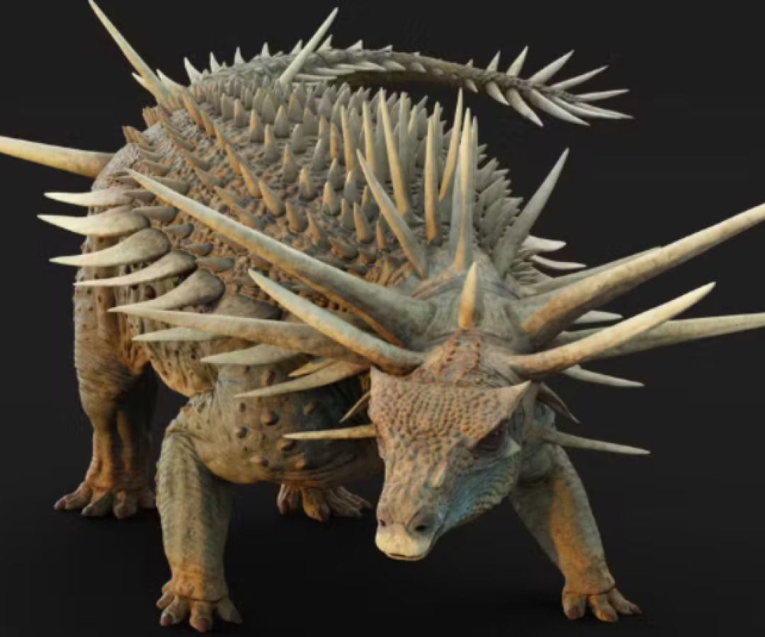 Fóssil raro de dinossauro com armadura de espinhos é descoberto no Marrocos