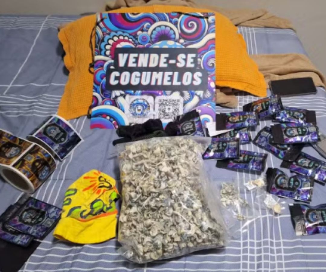 Maior rede de cogumelos alucinógenos do Brasil é desarticulada pela Polícia Civil no DF