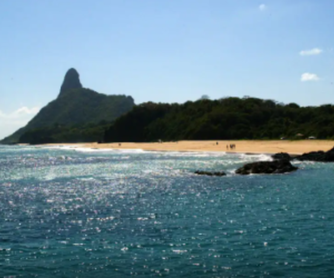 Ilhas brasileiras: estudo revela presença de espécies exclusivas