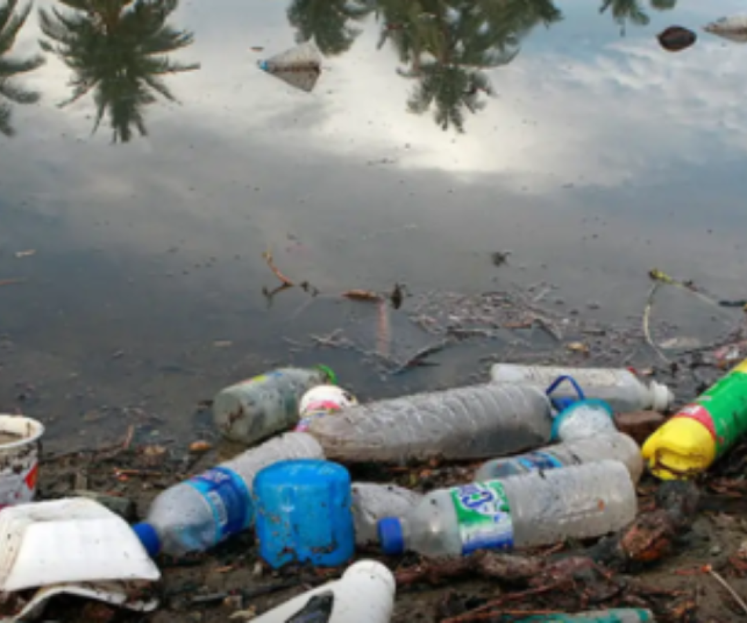 Fiocruz alerta para contaminação da Amazônia por plásticos