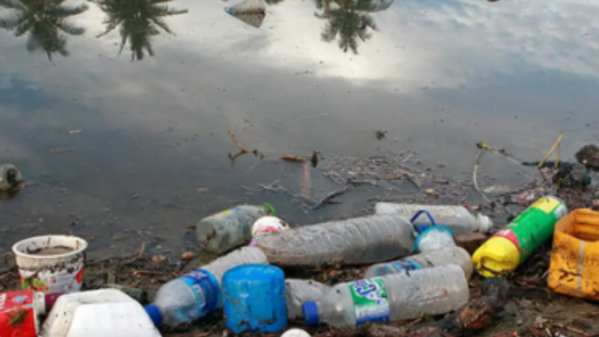 Fiocruz alerta para contaminação da Amazônia por plásticos
