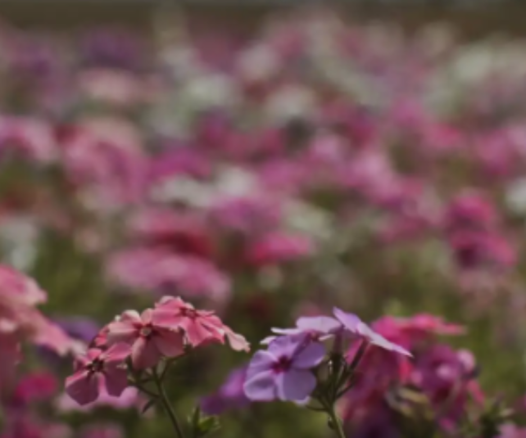 Primavera começa com chegada de frente fria, temporais e fortes ventos