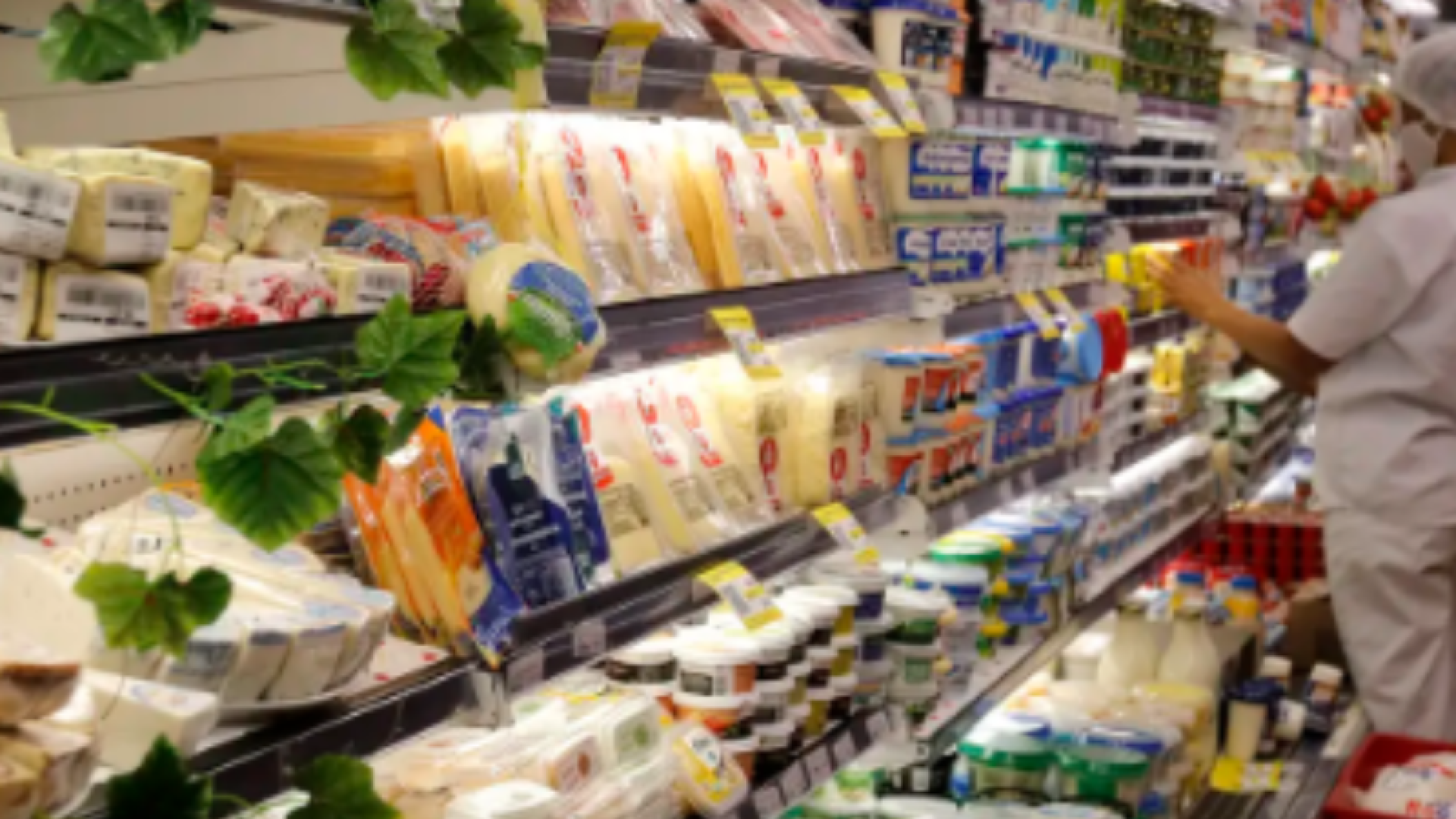 Exportações de alimentos caem em agosto por causa de tarifaço dos EUA