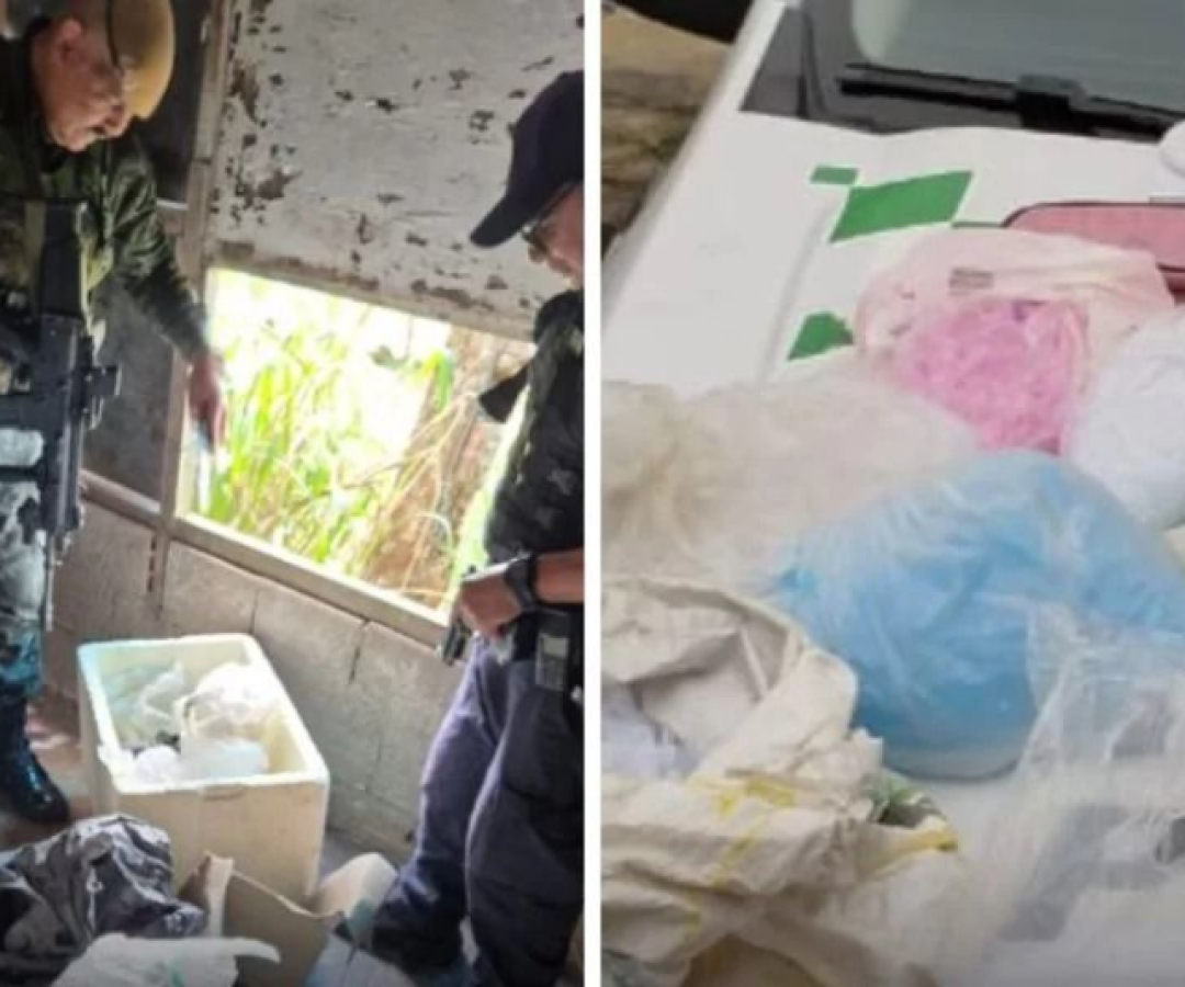 Polícia desmonta ponto de tráfico em área de preservação no 'Vale da Morte', em Guarujá