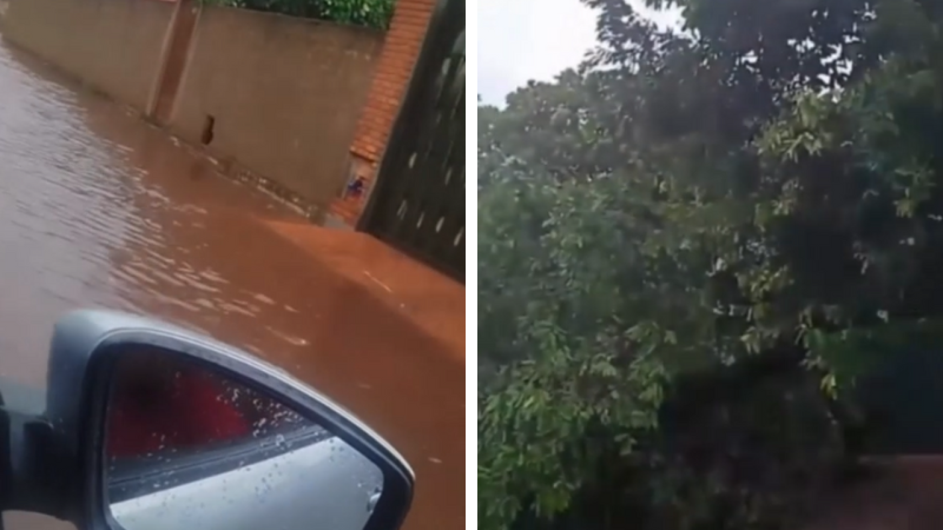 Temporal causa alagamentos e queda de árvores em Frutal