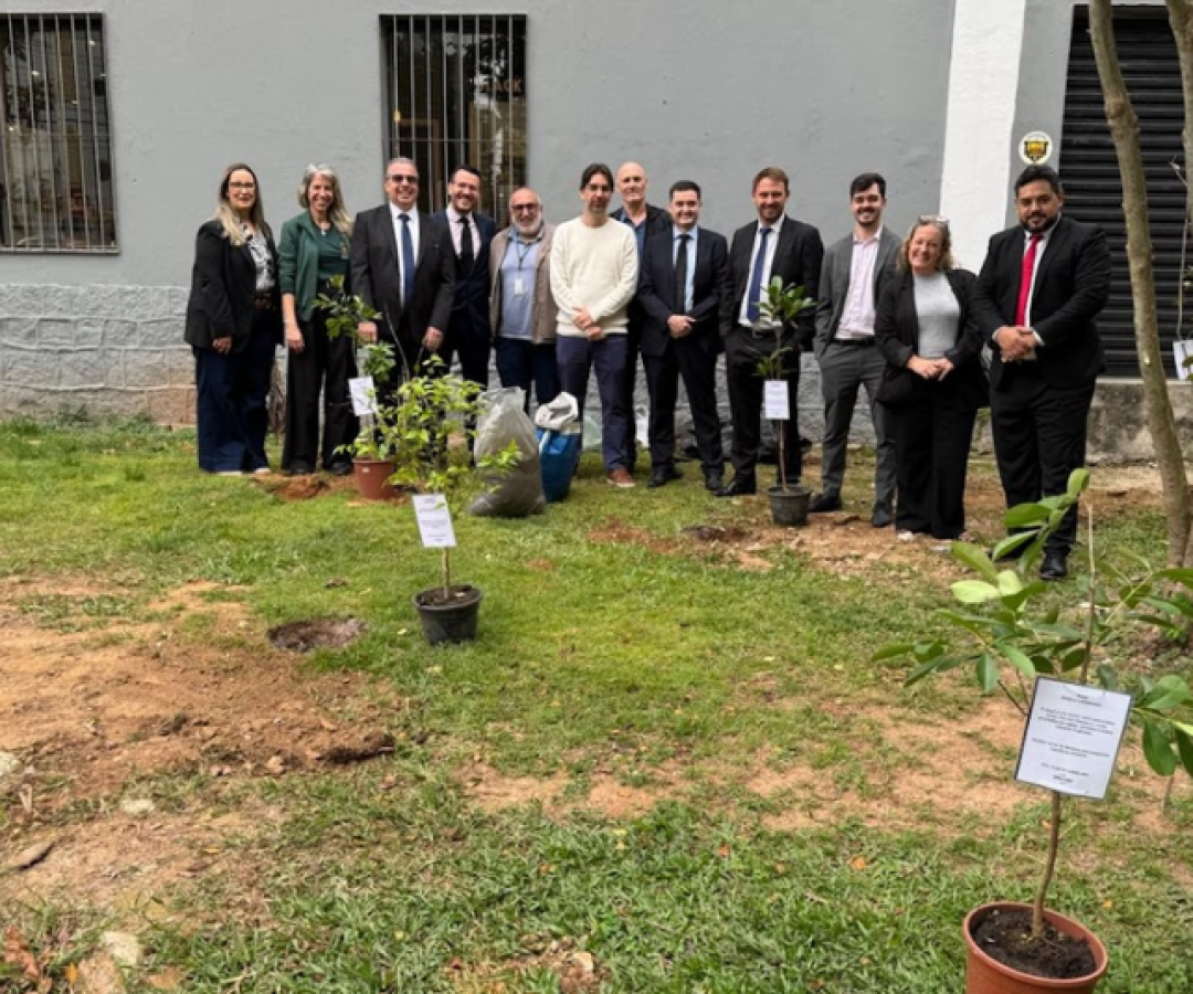 Santos ultrapassa meta de plantio de 2 mil árvores em 2025 e avança em programa ambiental