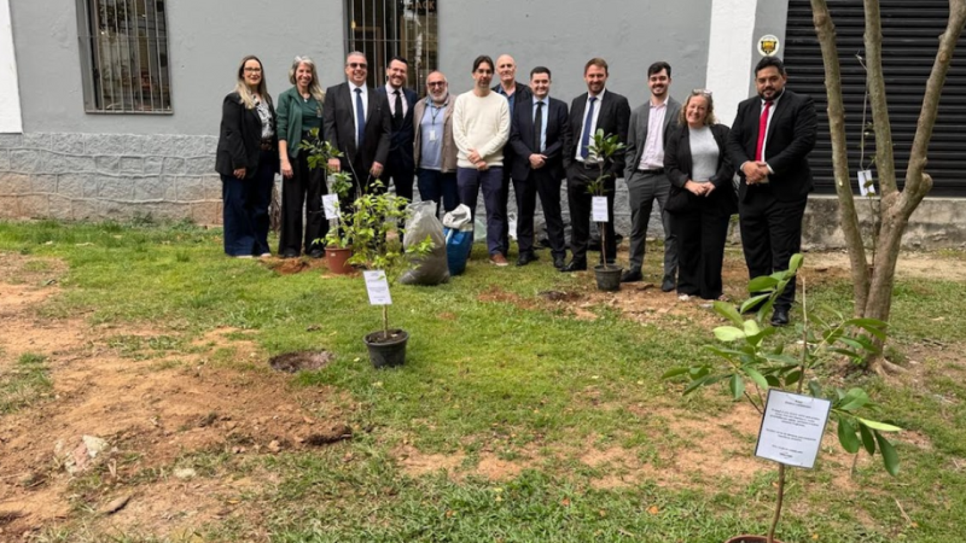 Santos ultrapassa meta de plantio de 2 mil árvores em 2025 e avança em programa ambiental