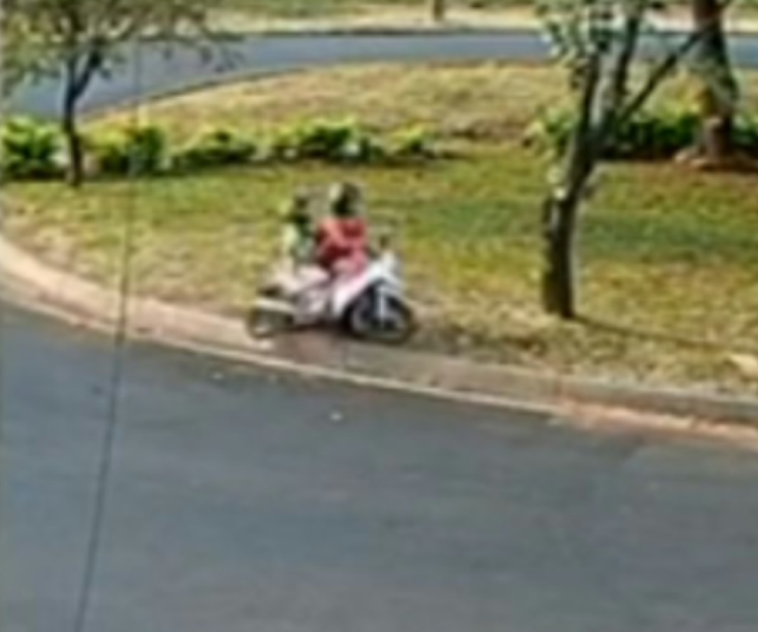 Mulher morre e filho fica ferido após moto bater em árvore em Uberaba (MG)