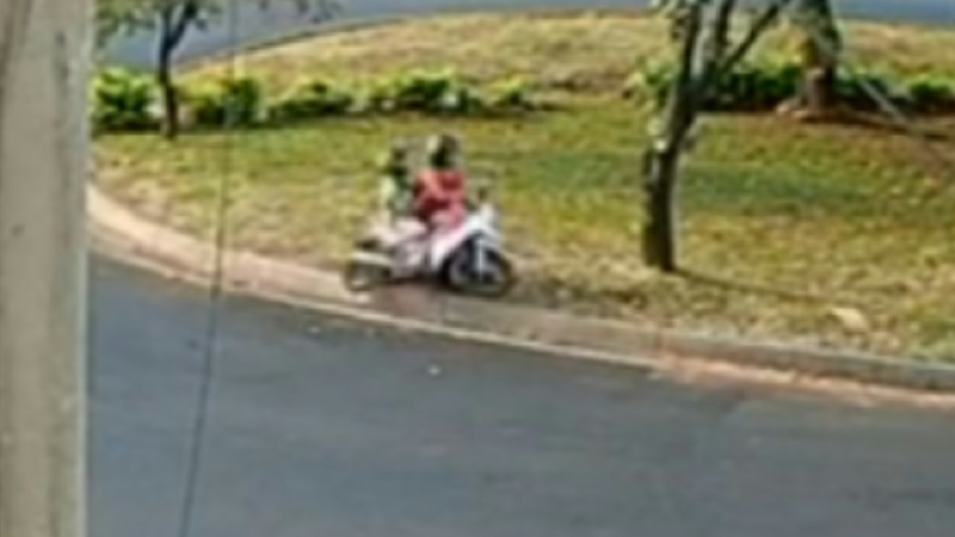 Mulher morre e filho fica ferido após moto bater em árvore em Uberaba (MG)