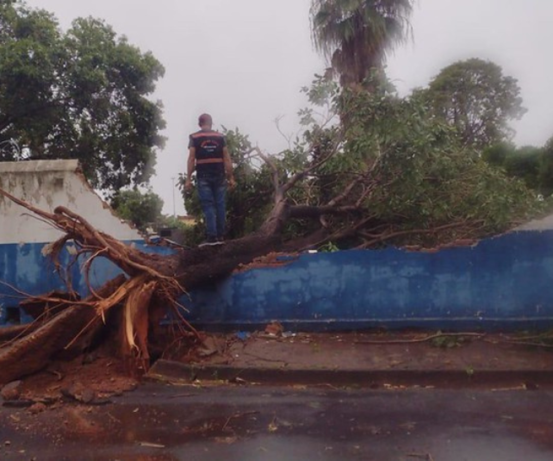 Prefeitura de Uberaba monta força-tarefa após temporal e prefeita acompanha estragos