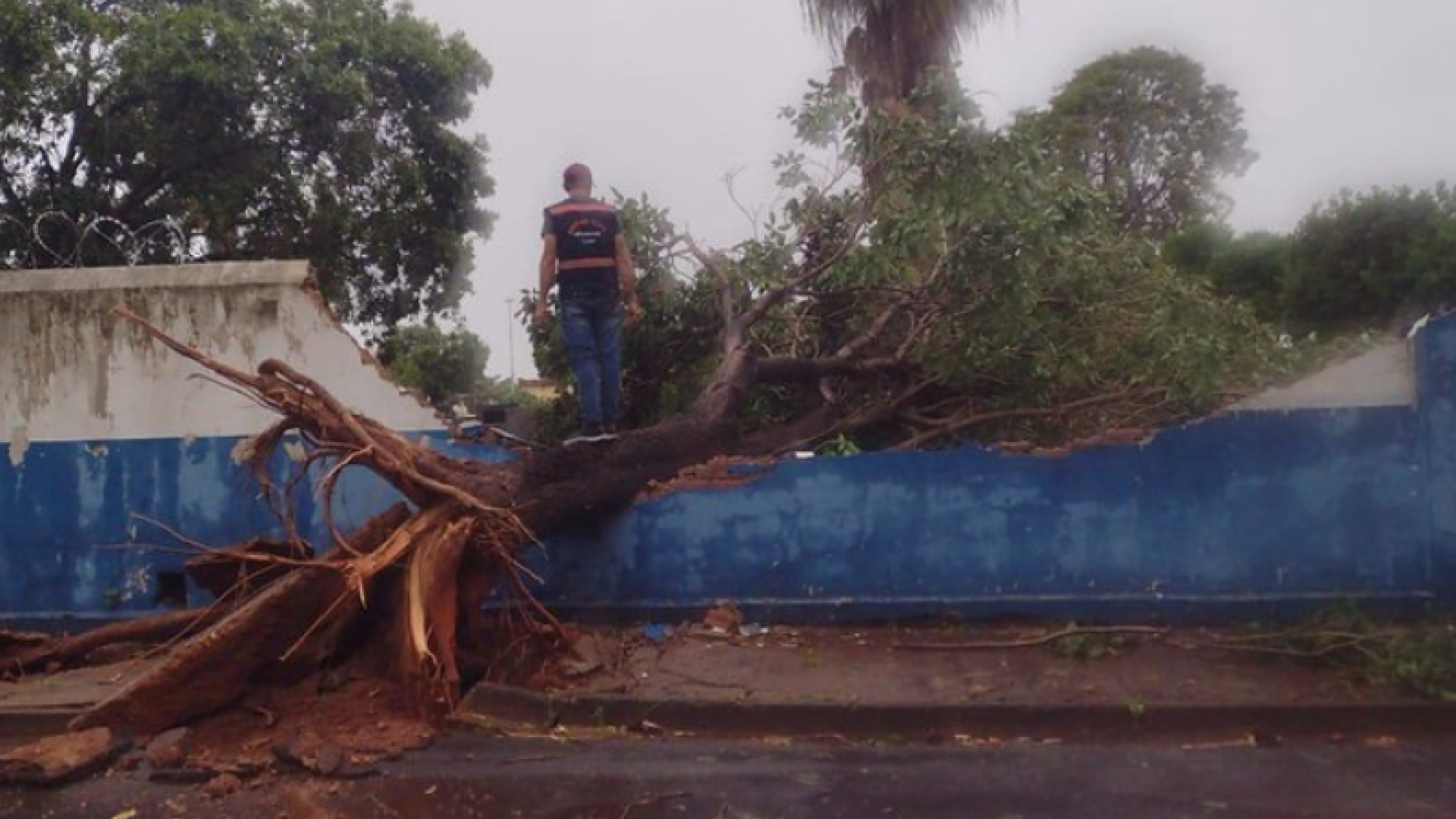 Prefeitura de Uberaba monta força-tarefa após temporal e prefeita acompanha estragos