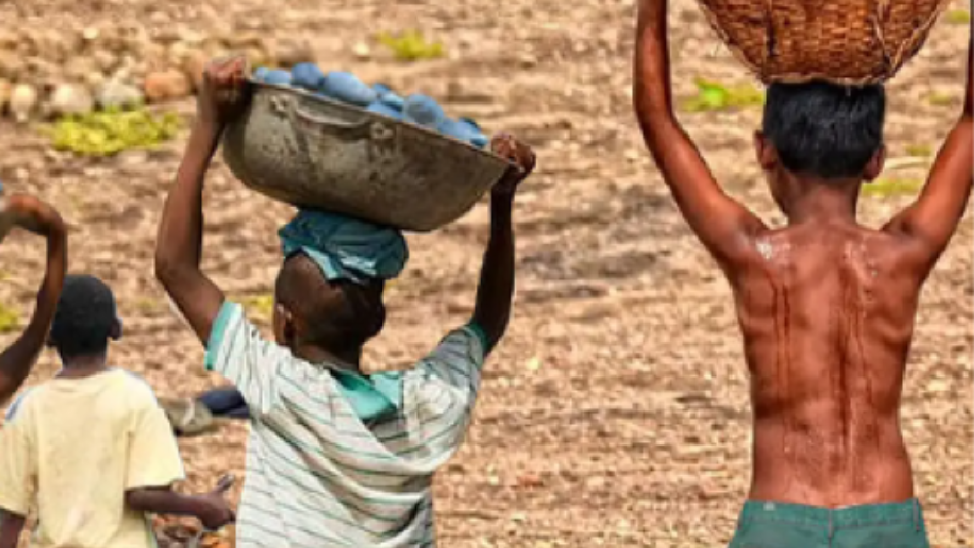Brasil tem redução recorde na lista Piores Formas de Trabalho Infantil