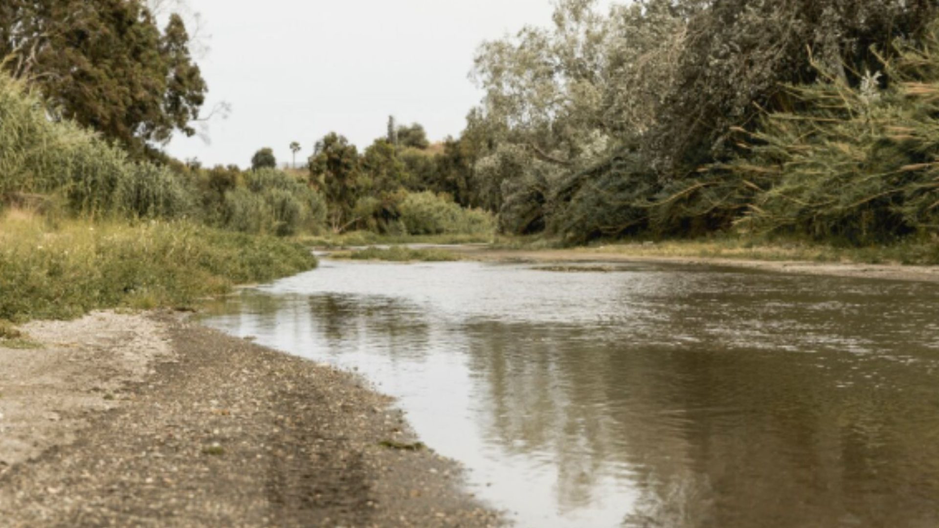 Nível dos reservatórios de SP cai para 55,3% e acende alerta