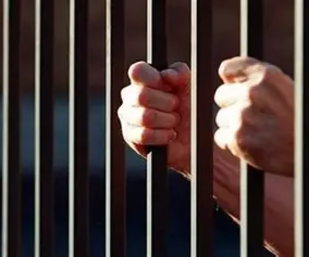 Reprodução internet