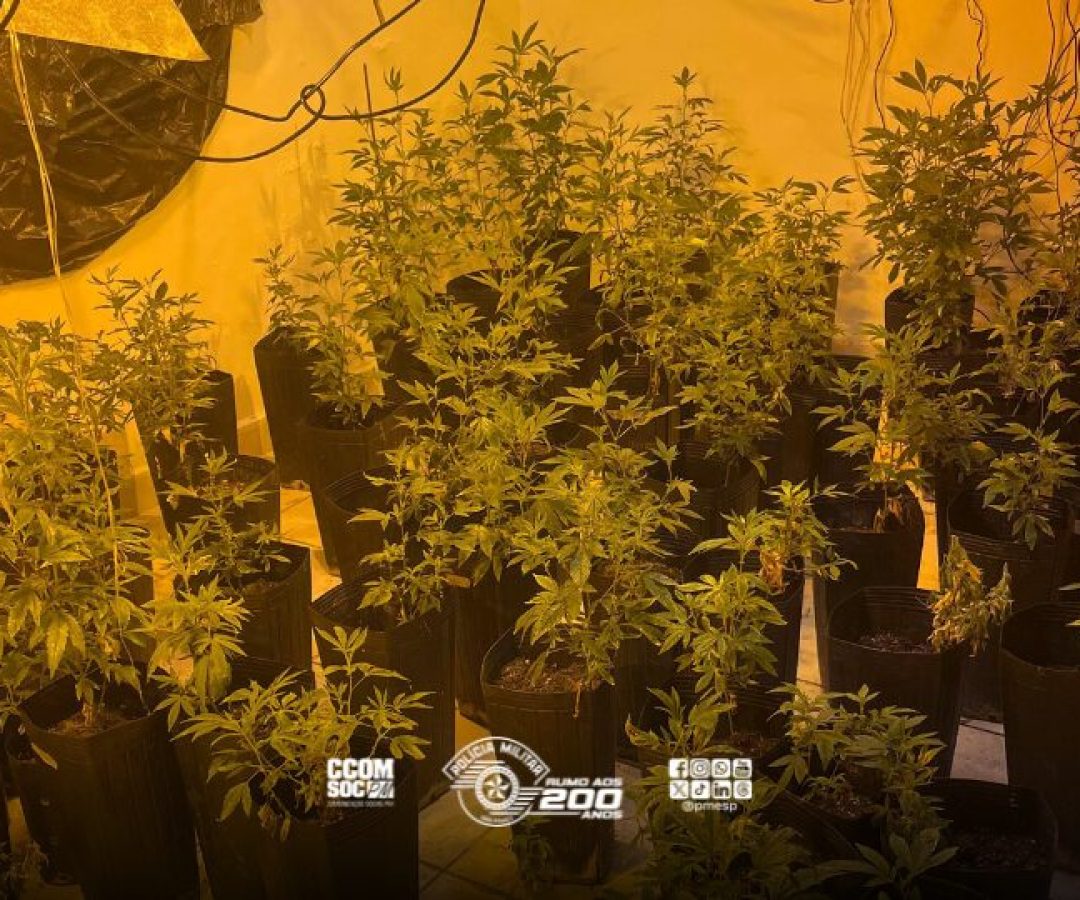 Agência de Notícias da PMESP