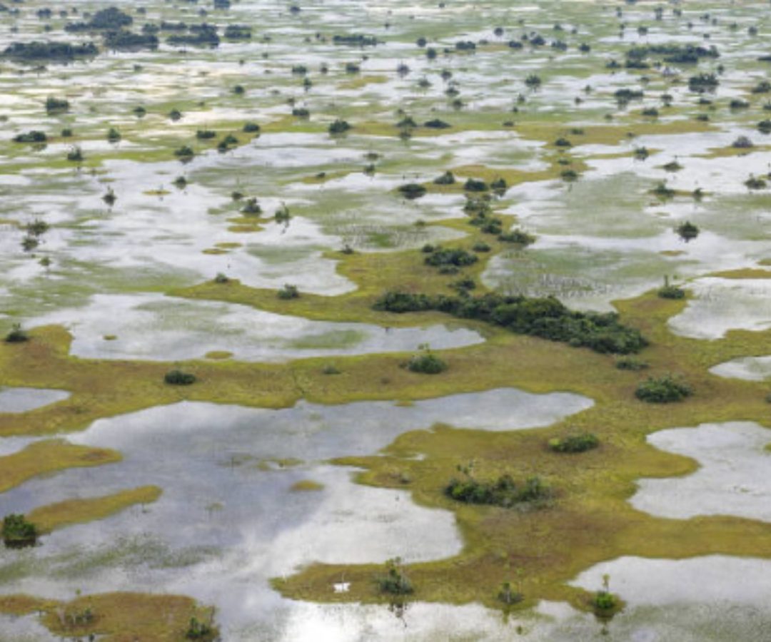 Pantanal