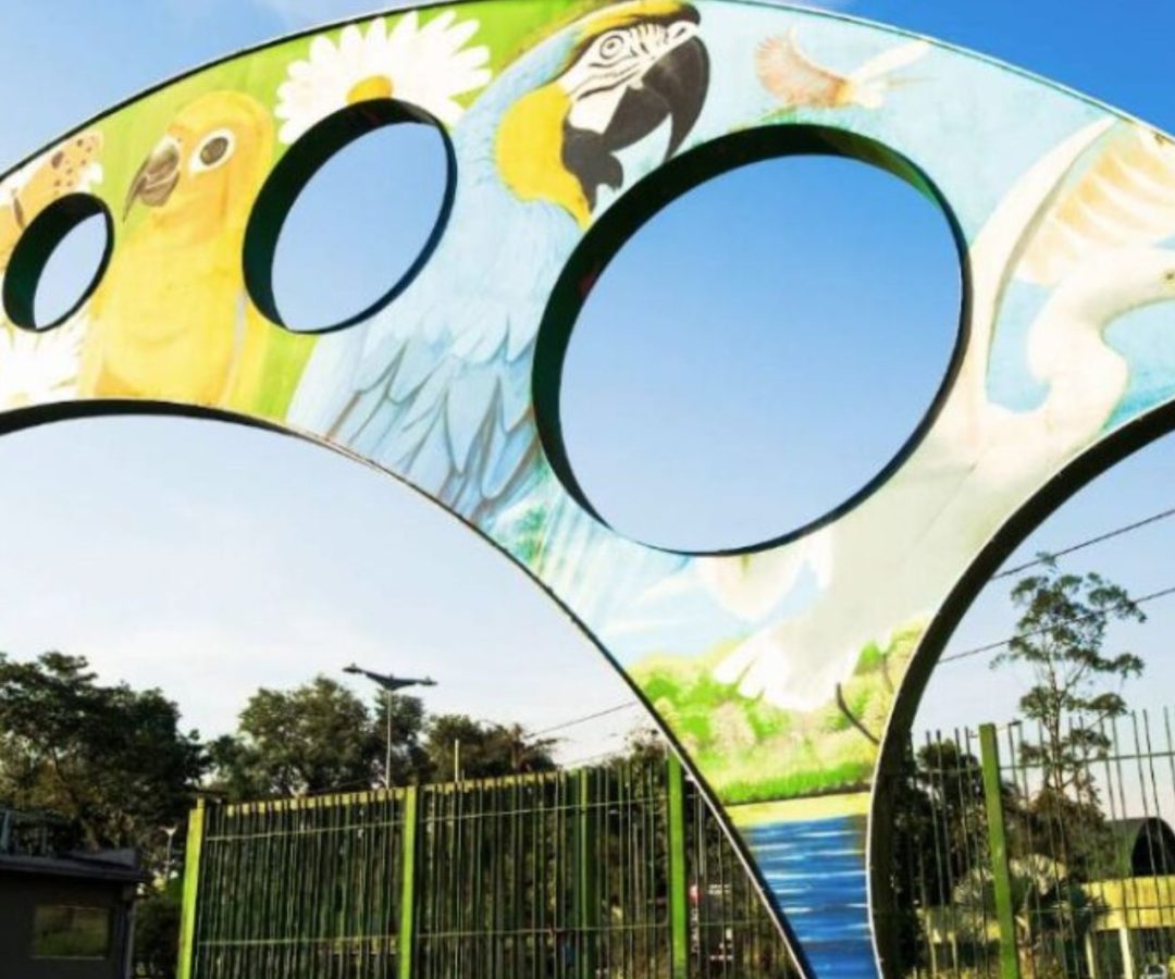 Parque Anilinas recebe ação social gratuita em Cubatão
