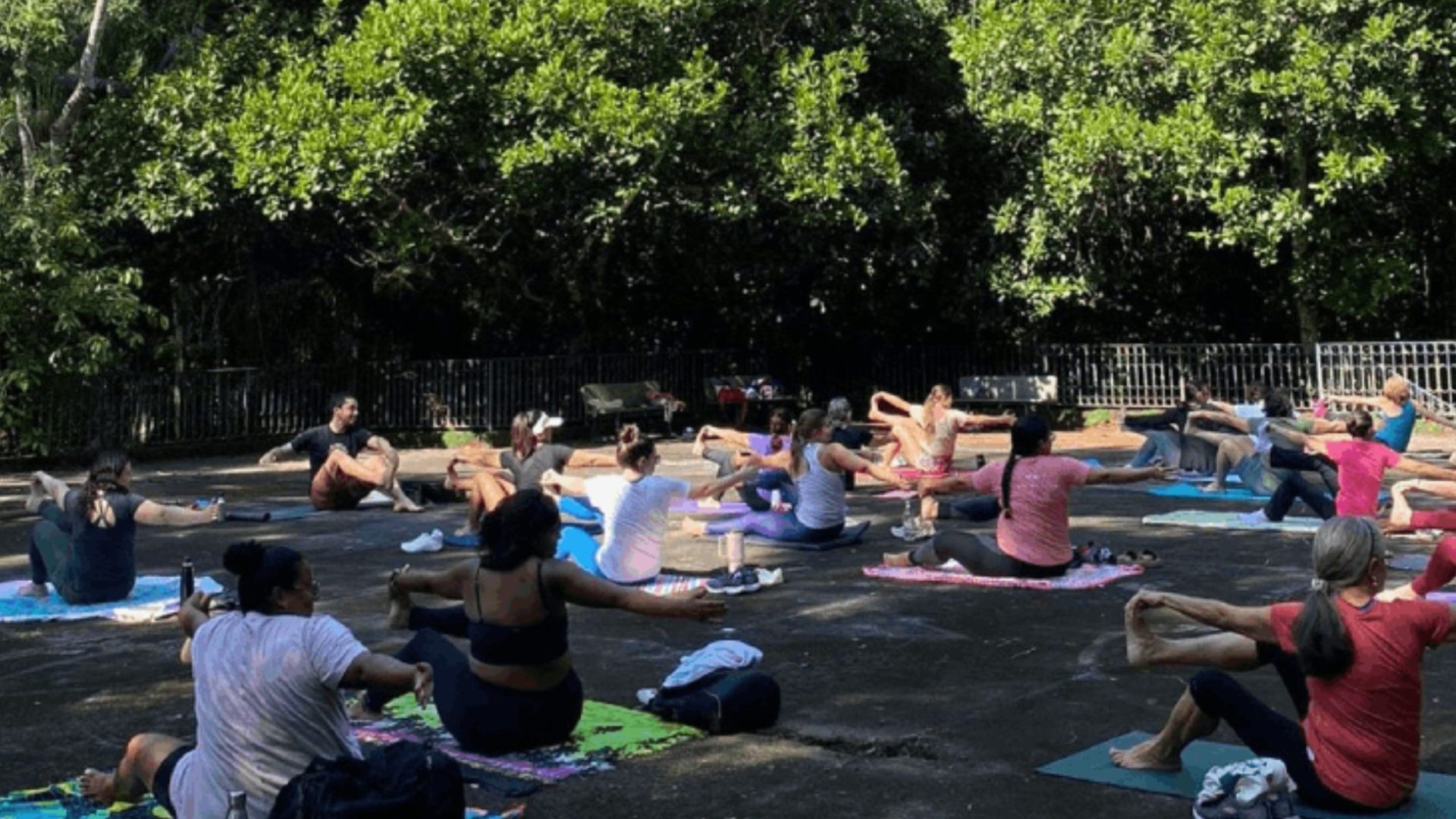 Parque Municipal de Juiz de Fora tem programação especial no feriado e fim de semana