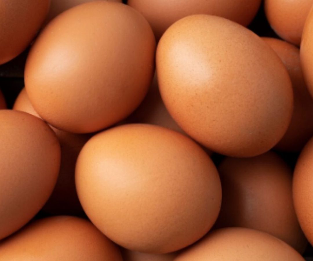 Preço dos ovos cai no Brasil após queda na demanda