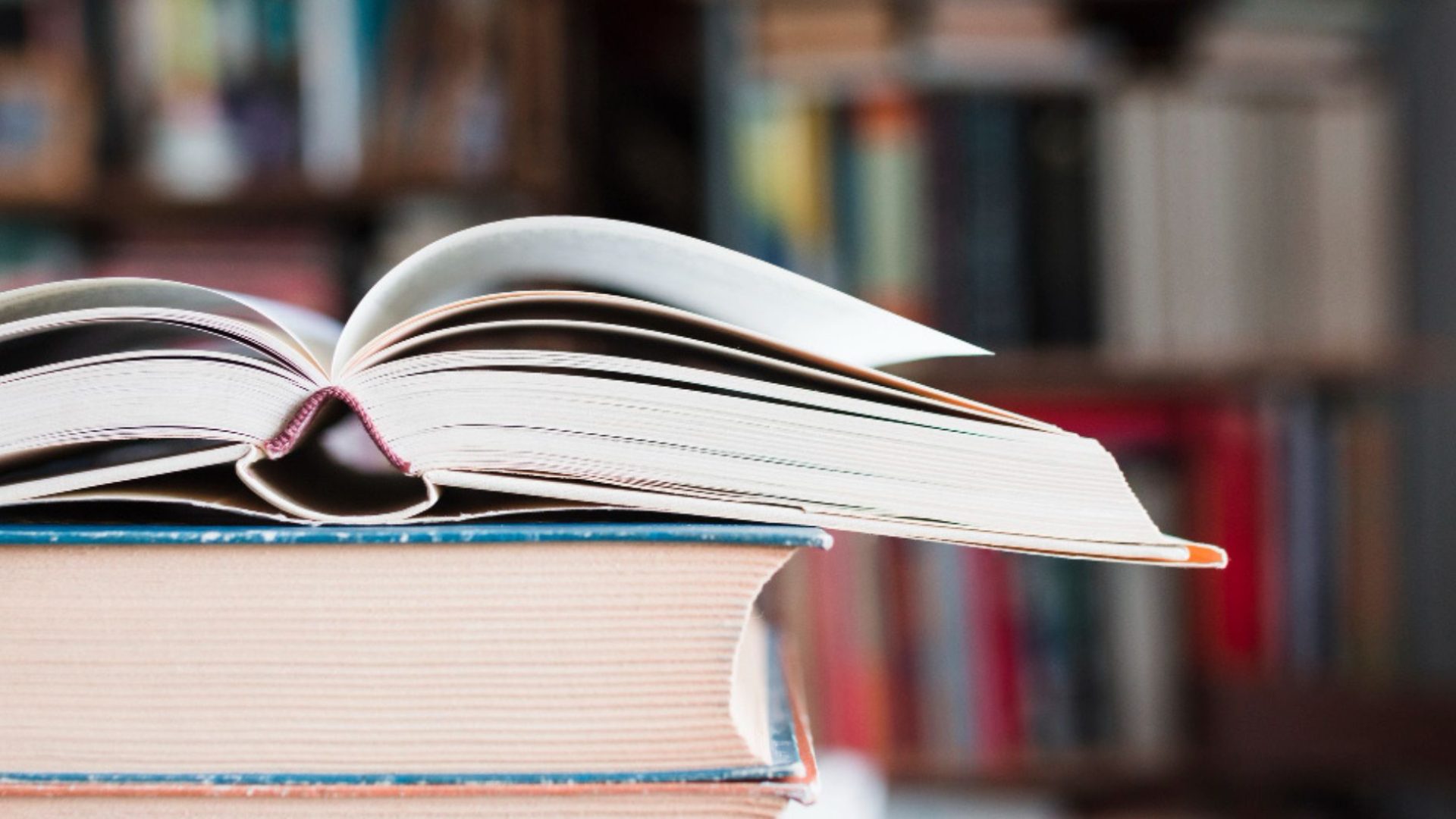 Semana Senac de Leitura leva atividades gratuitas à Baixada Santista