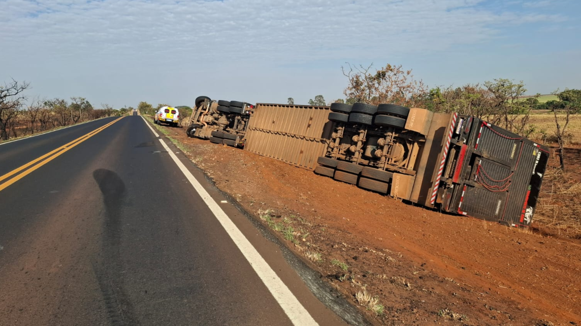 Caminhão com 65 bois tomba na MGC-497, em Uberlândia, após desviar de veículo na contramão
