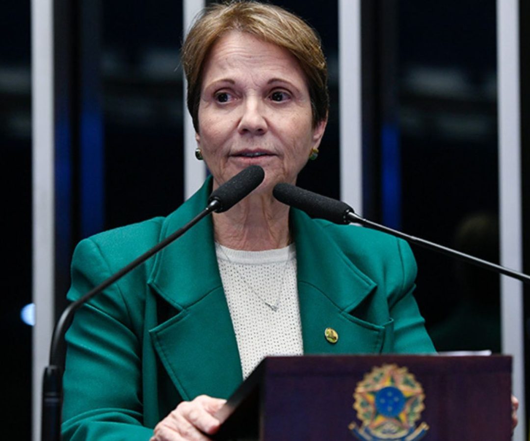 Tereza Cristina