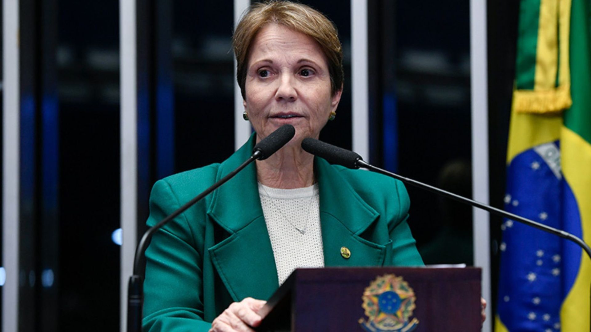 Tereza Cristina