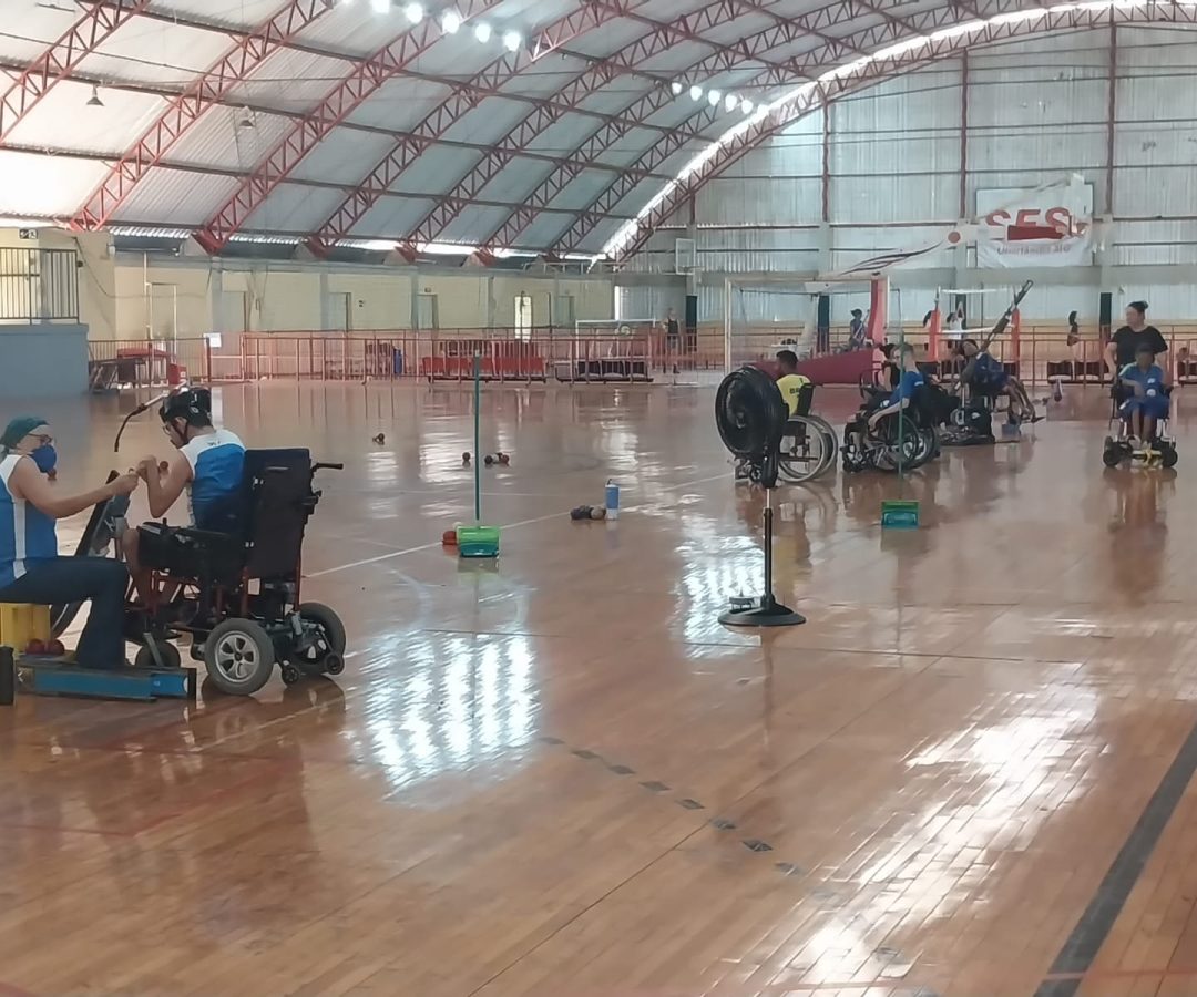 O objetivo da fase de treinamento é preparar os atletas para futuras competições nacionais e internacionais da temporada 2025 (foto: divulgação/PMU)