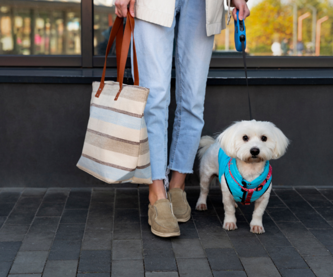 Uberlândia regulamenta espaços pet friendly e estabelece regras para tutores e comerciantes