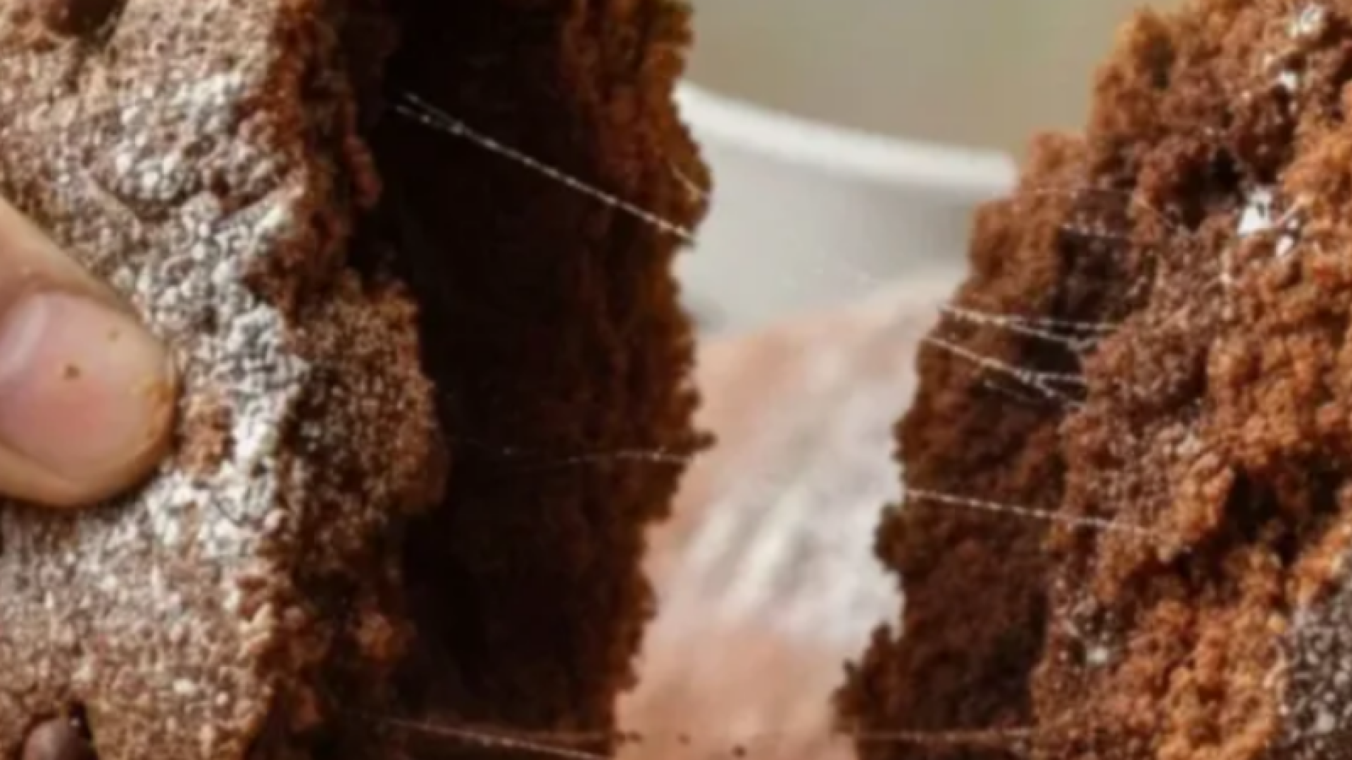 Fios no bolo? Fenômeno indica contaminação por bactéria e exige descarte imediato