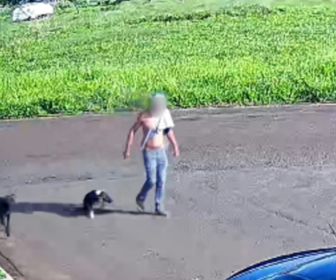 Homem é preso em flagrante por enforcar cachorro com arame farpado em Campina Verde (MG)