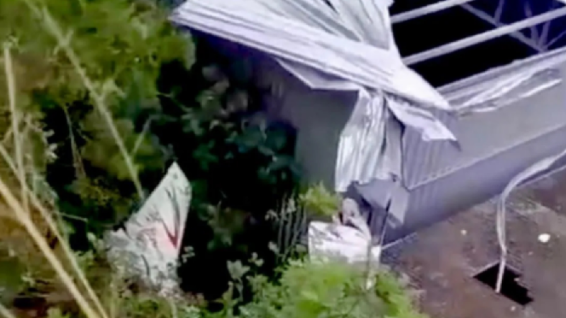 Vídeo: avião de pequeno porte cai em galpão em Guarapari (ES)