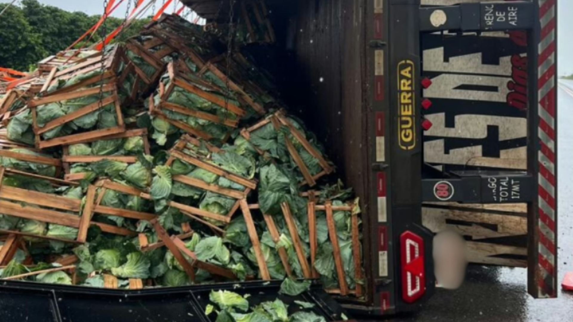 Carreta tomba na BR-146 em Patrocínio e espalha carga de repolhos pela pista