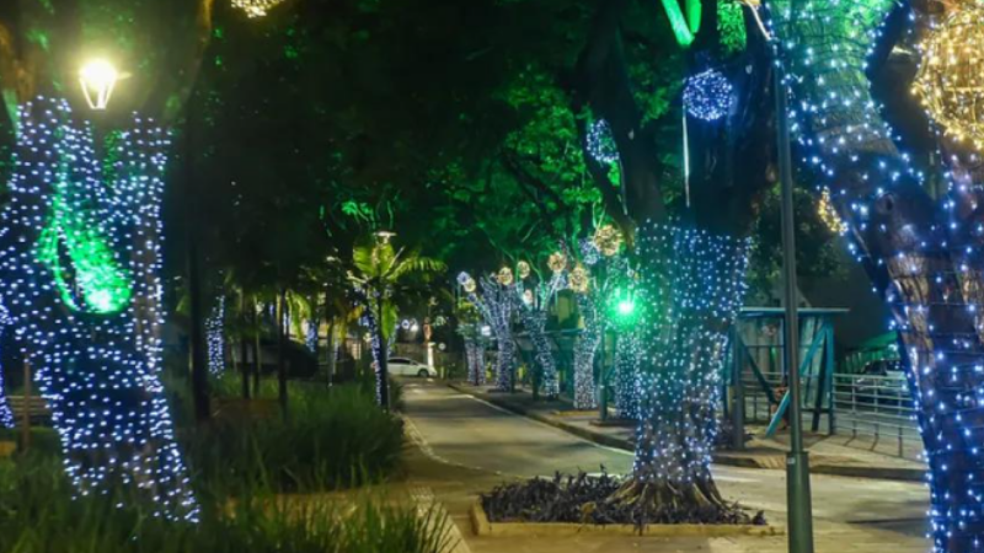 Circuito Viva o Centro terá edição noturna com passeio guiado e show de luzes em Uberaba