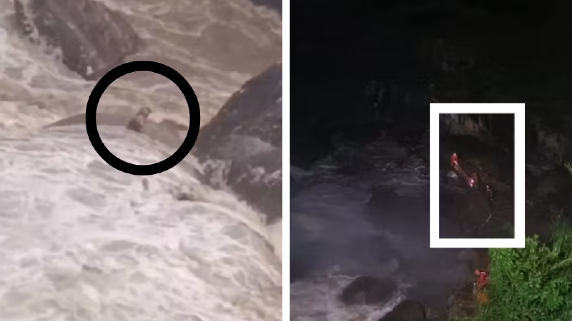 Bombeiros resgatam cachorro cego e surdo ilhado em cachoeira em Petrópolis