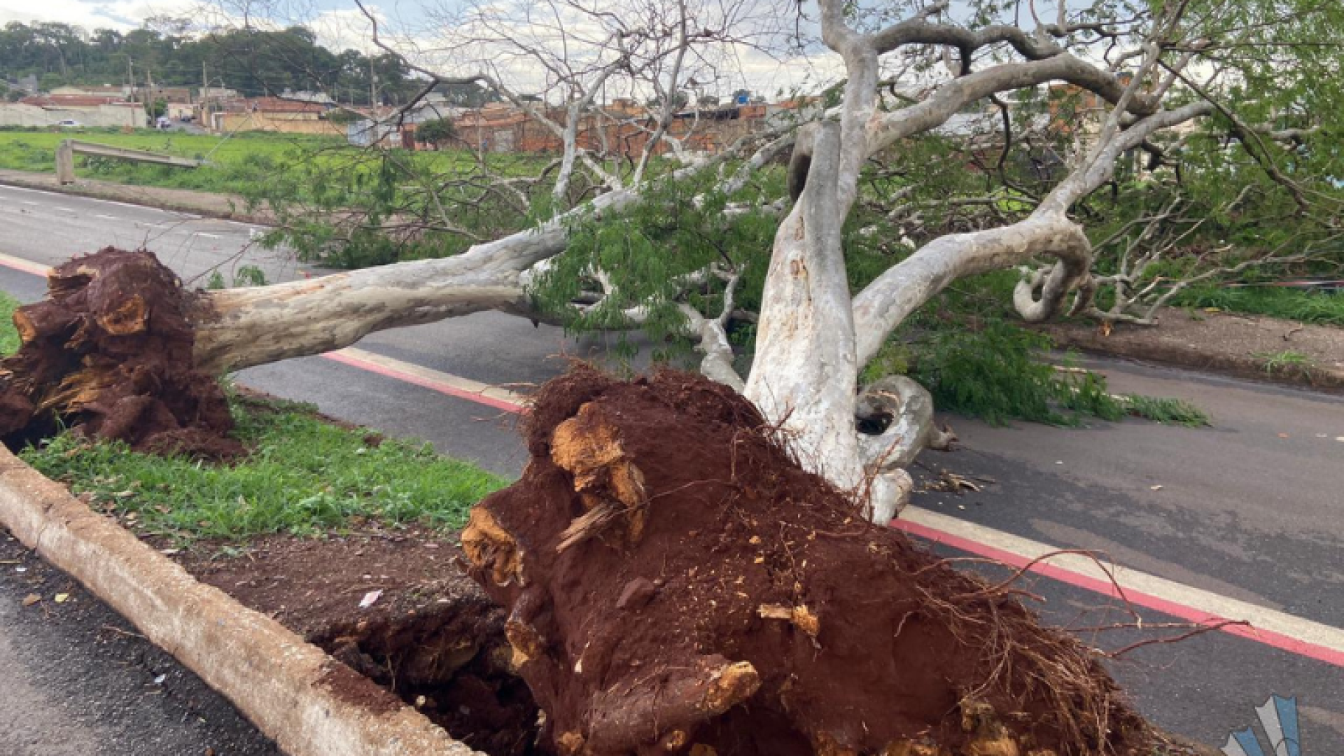 Temporal causa destruição em bairros de Patos de Minas e deixa moradores sem energia