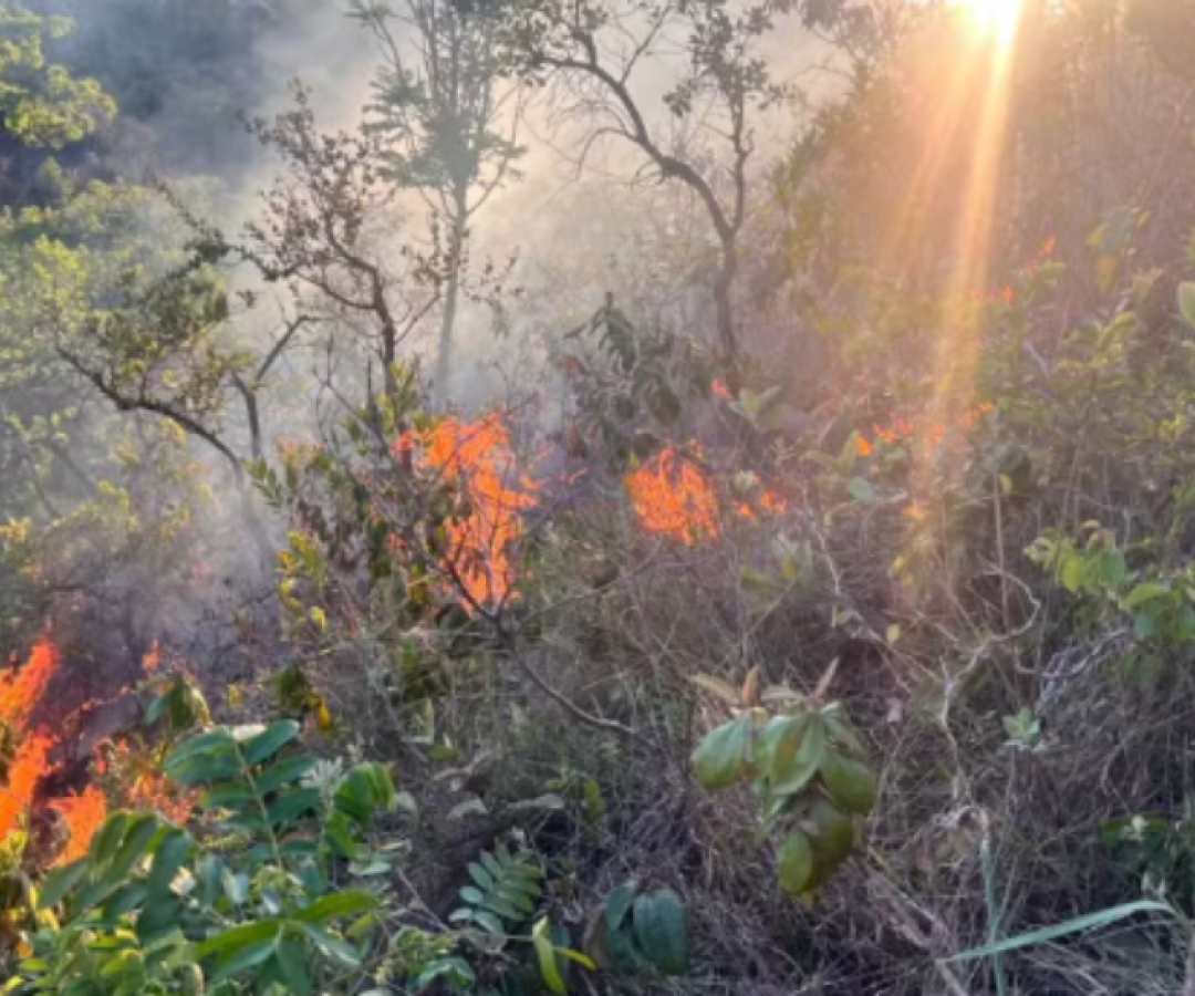 Incêndio destrói área do tamanho de sete campos de futebol em Presidente Olegário