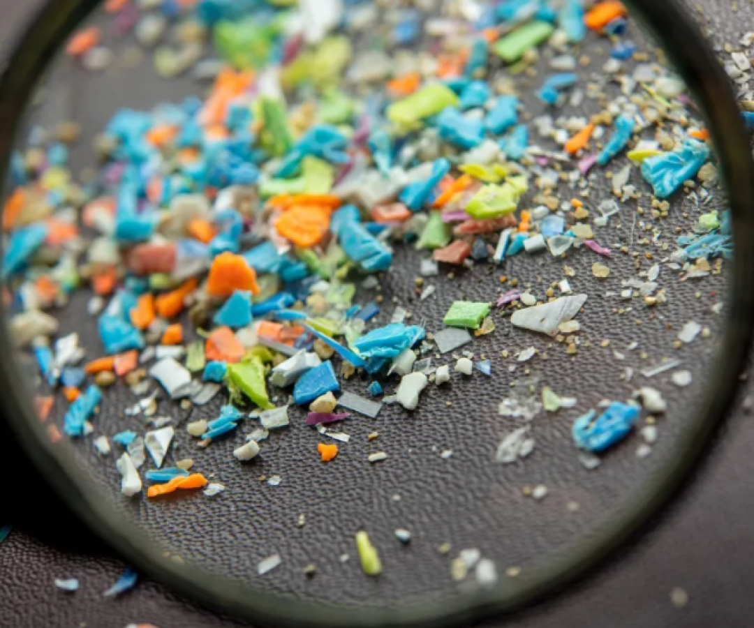 Contaminação invisível: presença de microplásticos no organismo preocupa especialistas