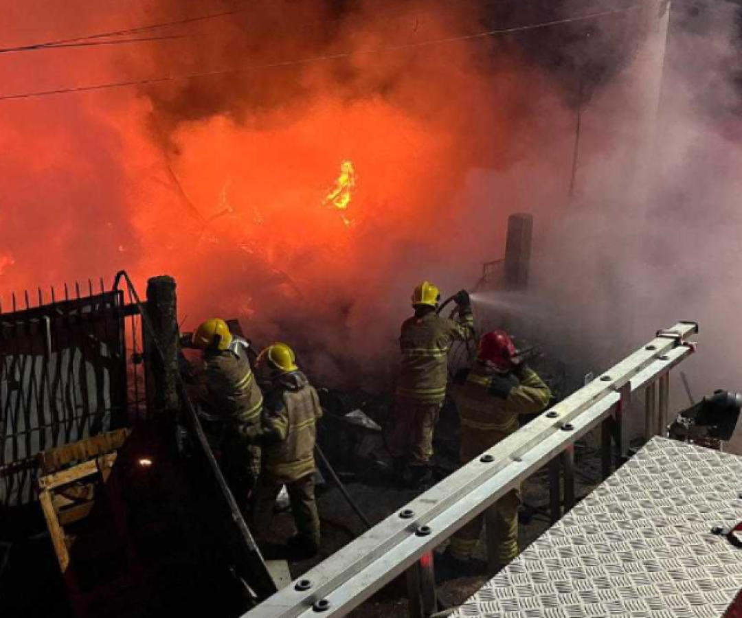 Cadela é encontrada em banheiro e salva de incêndio em Pouso Alegre