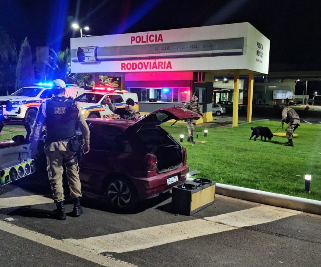 Maconha, haxixe e cocaína foram encontrados pela polícia (foto: divulgação/PMMG-RV)