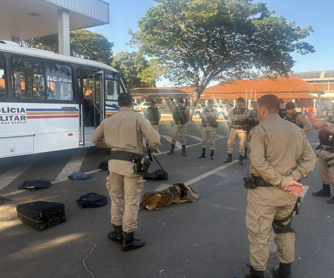 (foto: divulgação/ PMMG)