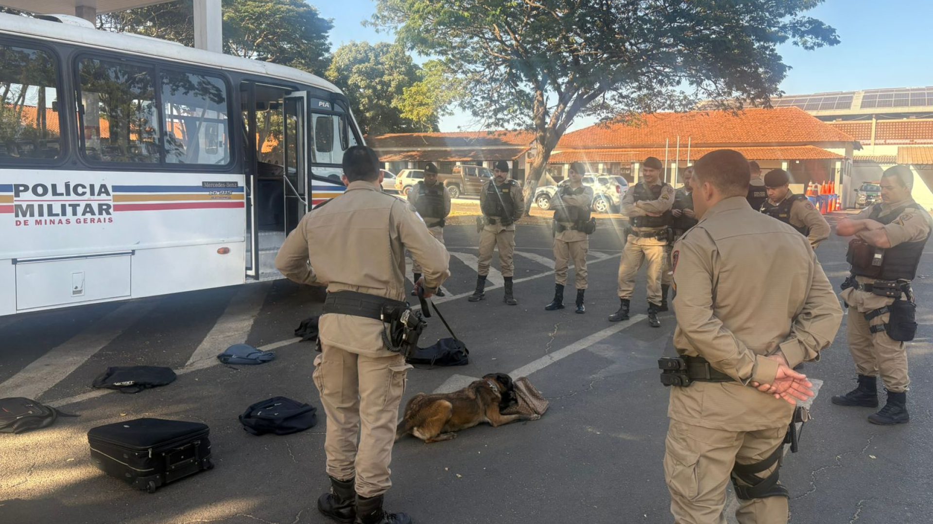 (foto: divulgação/ PMMG)