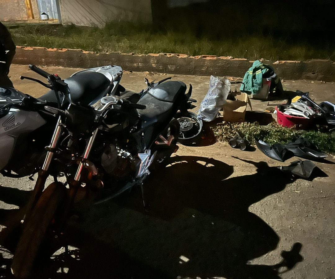 (foto: divulgação/ PMMG)