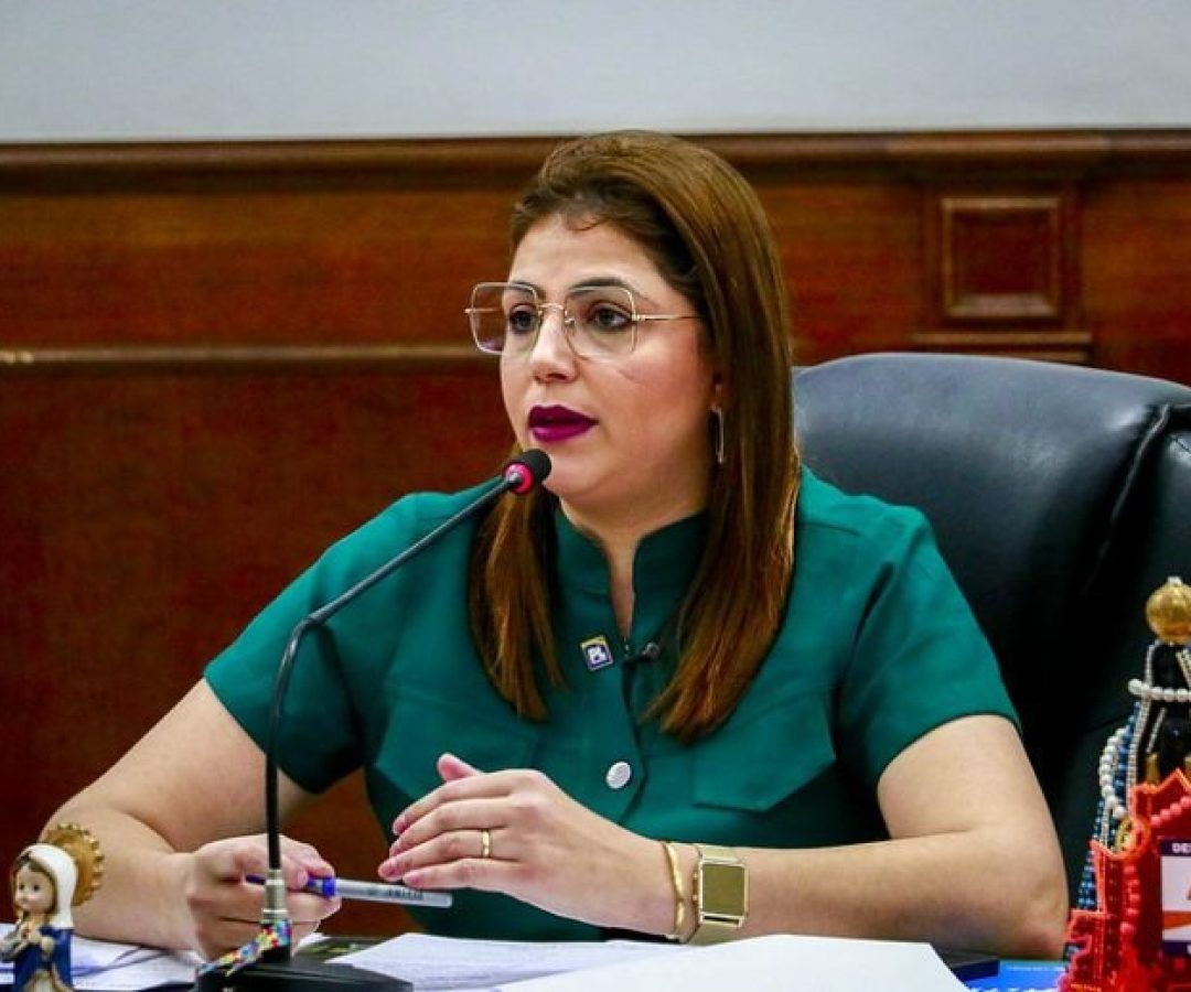 Motorista de transporte escolar relata riscos e indignação após ter vídeo exposto por vereadora em sessão da câmara (foto: divulgação/ CMU)